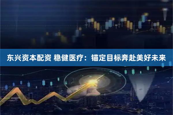 东兴资本配资 稳健医疗：锚定目标奔赴美好未来