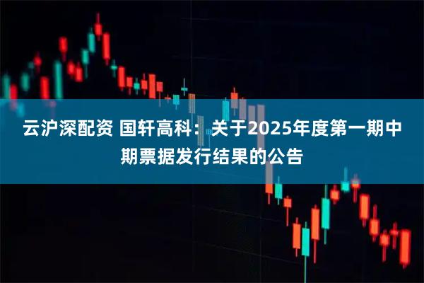 云沪深配资 国轩高科：关于2025年度第一期中期票据发行结果的公告